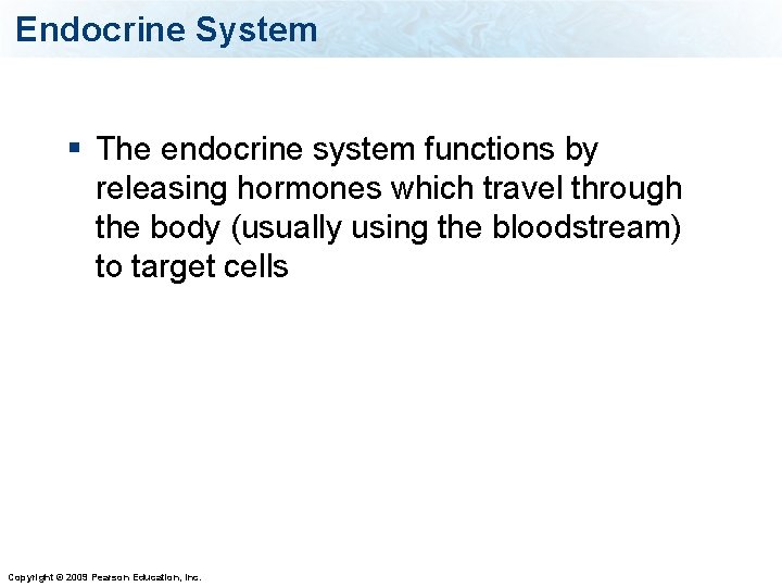 Endocrine System § The endocrine system functions by releasing hormones which travel through the