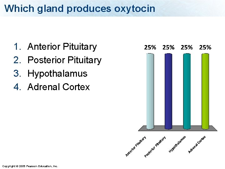 Which gland produces oxytocin 1. 2. 3. 4. Anterior Pituitary Posterior Pituitary Hypothalamus Adrenal