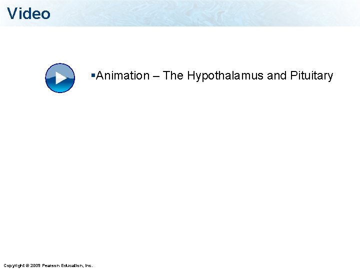 Video §Animation – The Hypothalamus and Pituitary Copyright © 2009 Pearson Education, Inc. 