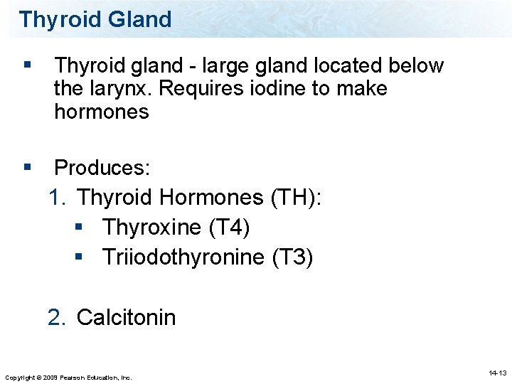 Thyroid Gland § Thyroid gland - large gland located below the larynx. Requires iodine