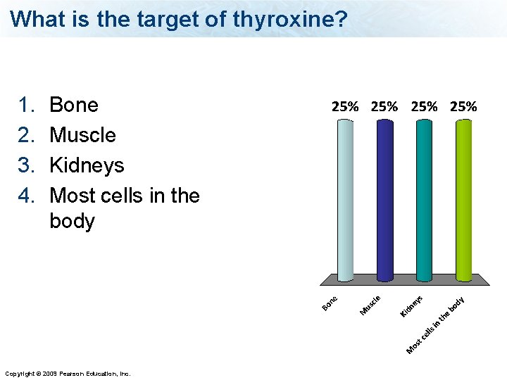 What is the target of thyroxine? 1. 2. 3. 4. Bone Muscle Kidneys Most