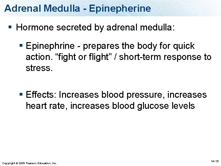 Adrenal Medulla - Epinepherine § Hormone secreted by adrenal medulla: § Epinephrine - prepares