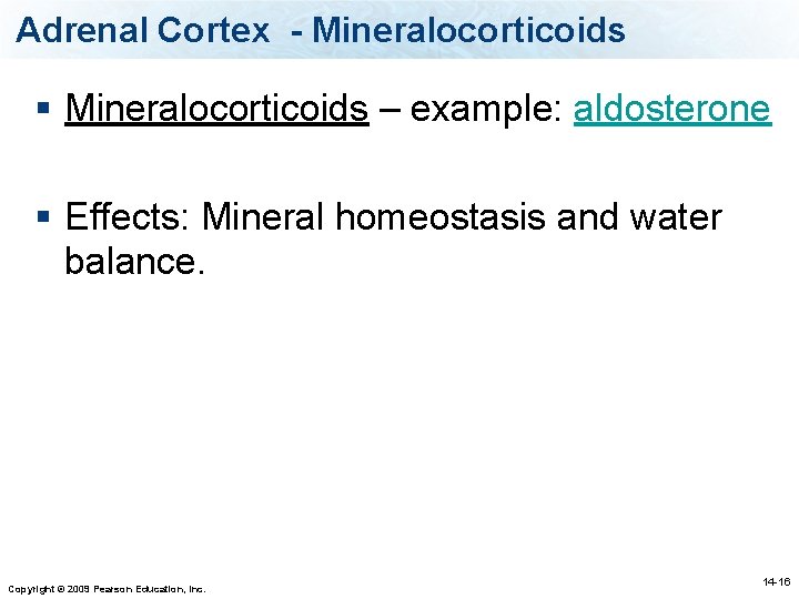 Adrenal Cortex - Mineralocorticoids § Mineralocorticoids – example: aldosterone § Effects: Mineral homeostasis and