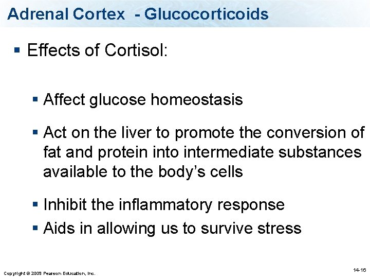 Adrenal Cortex - Glucocorticoids § Effects of Cortisol: § Affect glucose homeostasis § Act