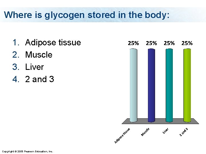 Where is glycogen stored in the body: 1. 2. 3. 4. Adipose tissue Muscle