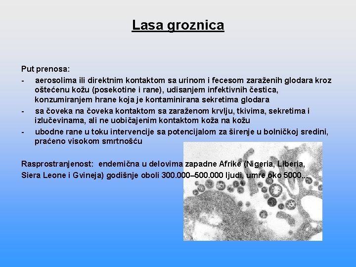 Lasa groznica Put prenosa: - aerosolima ili direktnim kontaktom sa urinom i fecesom zaraženih Lasa groznica Put prenosa: - aerosolima ili direktnim kontaktom sa urinom i fecesom zaraženih