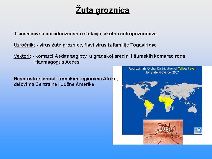 Žuta groznica Transmisivna prirodnožarišna infekcija, akutna antropozoonoza Uzročnik: - virus žute groznice, flavi virus