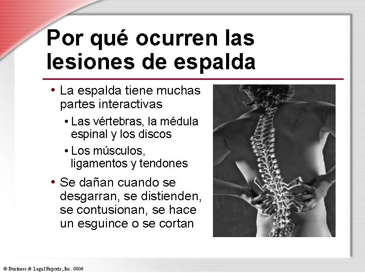 Por qué ocurren las lesiones de espalda • La espalda tiene muchas partes interactivas