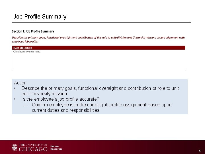 Job Profile Summary Action • Describe the primary goals, functional oversight and contribution of