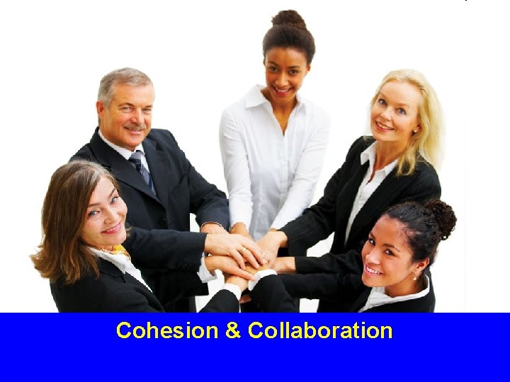 Cohesion & Collaboration 