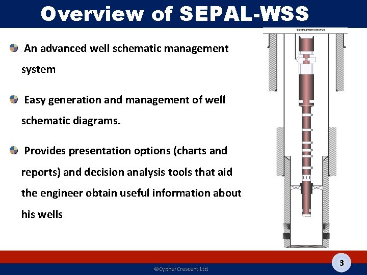 Overview of SEPAL-WSS An advanced well schematic management system Easy generation and management of