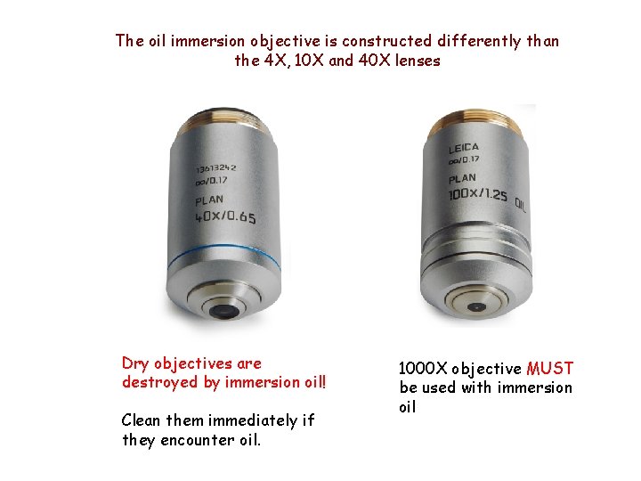 The oil immersion objective is constructed differently than the 4 X, 10 X and