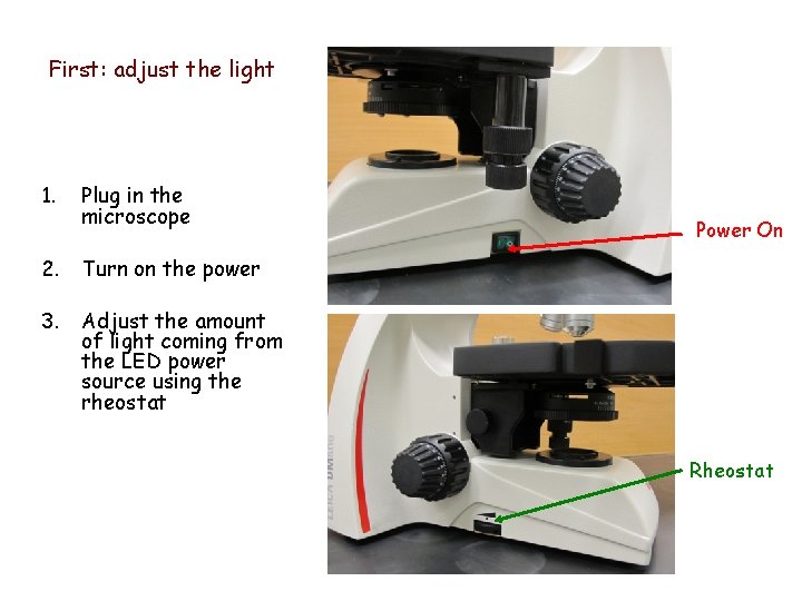 First: adjust the light 1. Plug in the microscope Power On 2. Turn on