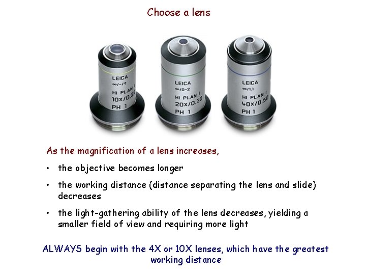 Choose a lens As the magnification of a lens increases, • the objective becomes