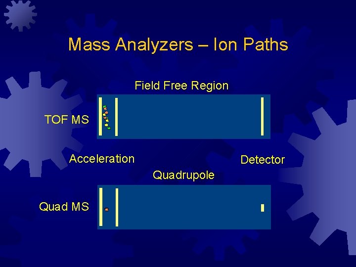 Mass Analyzers – Ion Paths Field Free Region TOF MS Acceleration Detector Quadrupole Quad