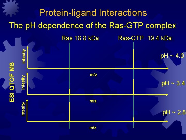 Protein-ligand Interactions The p. H dependence of the Ras-GTP complex intesity ESI QTOF MS