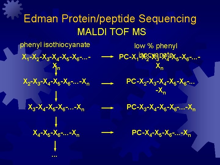 Edman Protein/peptide Sequencing MALDI TOF MS phenyl isothiocyanate X 1 -X 2 -X 3