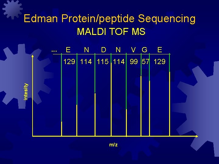Edman Protein/peptide Sequencing MALDI TOF MS. . . E N D N V G