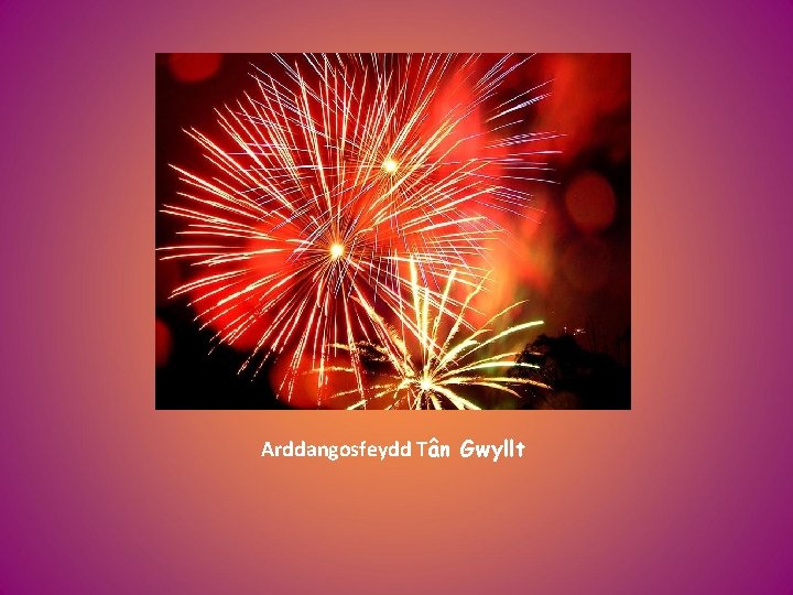 Arddangosfeydd Tân Gwyllt 