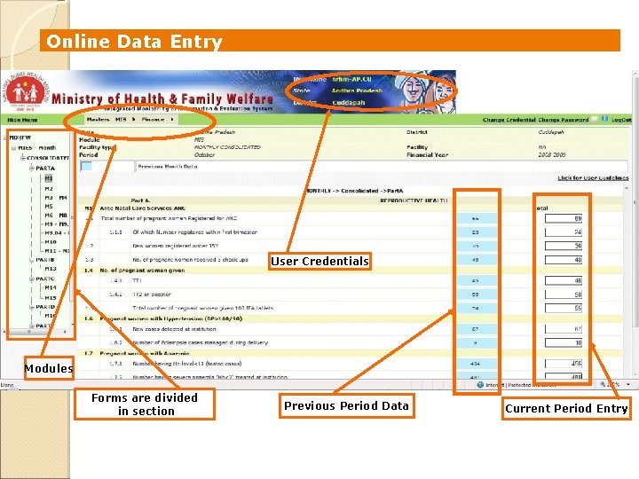 Online Data Entry User Credentials Modules Forms are divided in section Previous Period Data