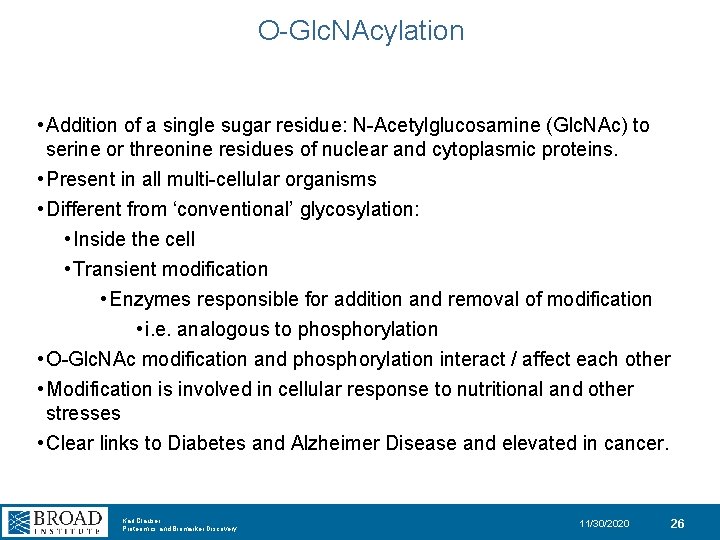 O-Glc. NAcylation • Addition of a single sugar residue: N-Acetylglucosamine (Glc. NAc) to serine