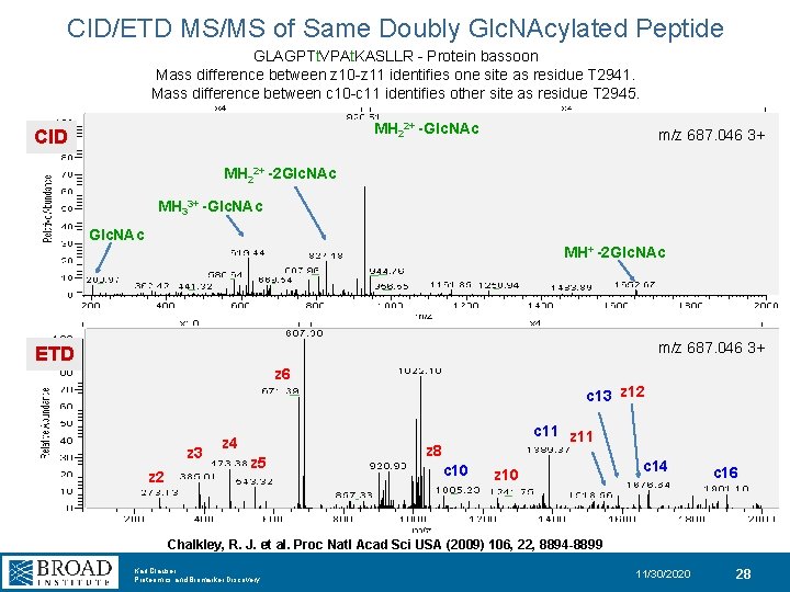 CID/ETD MS/MS of Same Doubly Glc. NAcylated Peptide GLAGPTt. VPAt. KASLLR - Protein bassoon