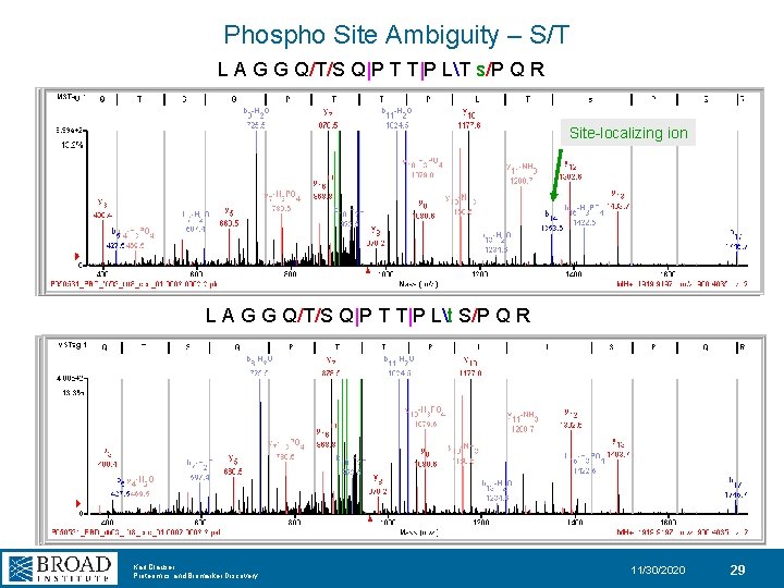 Phospho Site Ambiguity – S/T L A G G Q/T/S Q|P T T|P LT