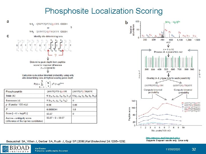 Phosphosite Localization Scoring Beausoleil SA, Villen J, Gerber SA, Rush J, Gygi SP (2006)