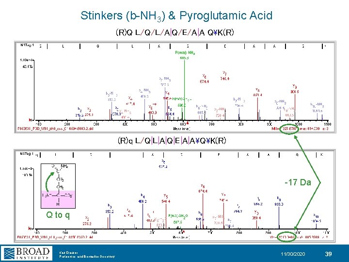 Stinkers (b-NH 3) & Pyroglutamic Acid (R)Q L/Q/L/A|Q/E/A|A QK(R) P(m/z)-NH 3 (R)q L/Q|L|A|Q|E|A|AQK(R) -17