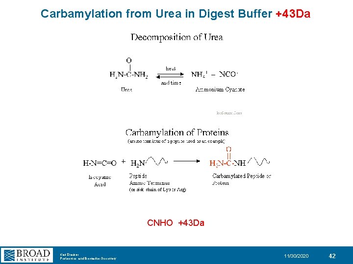 Carbamylation from Urea in Digest Buffer +43 Da CNHO +43 Da Karl Clauser Proteomics