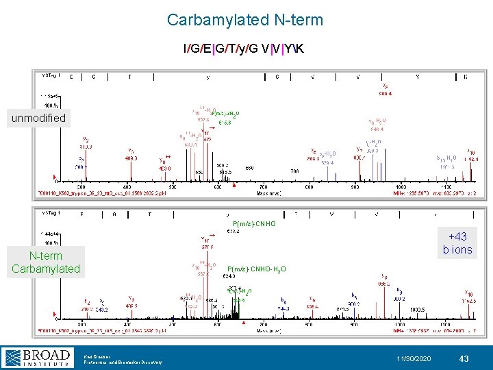 Carbamylated N-term I/G/E|G/T/y/G V|V|YK unmodified P(m/z)-CNHO +43 b ions N-term Carbamylated P(m/z)-CNHO-H 2 O