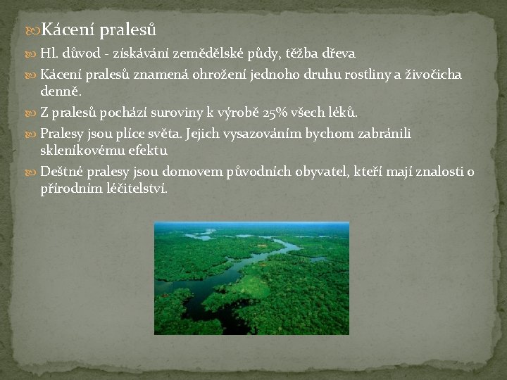  Kácení pralesů Hl. důvod - získávání zemědělské půdy, těžba dřeva Kácení pralesů znamená