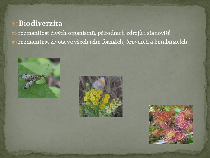  Biodiverzita rozmanitost živých organismů, přírodních zdrojů i stanovišť rozmanitost života ve všech jeho