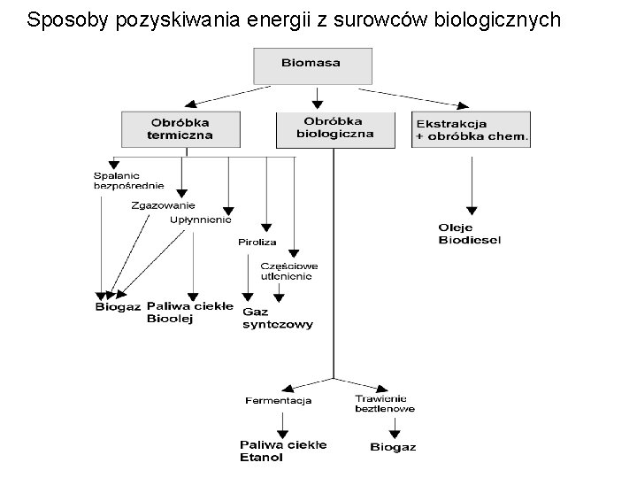 Sposoby pozyskiwania energii z surowców biologicznych 