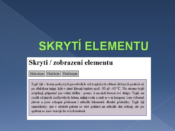 SKRYTÍ ELEMENTU 