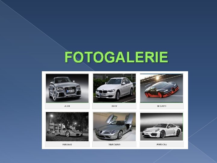 FOTOGALERIE 