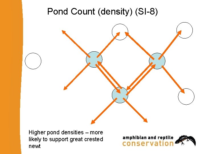 Pond Count (density) (SI-8) Higher pond densities – more likely to support great crested