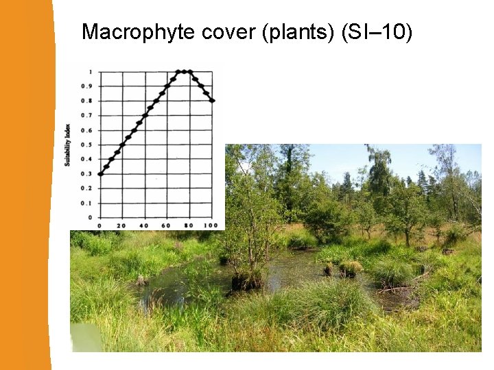 Macrophyte cover (plants) (SI– 10) 