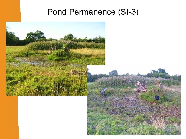 Pond Permanence (SI-3) 