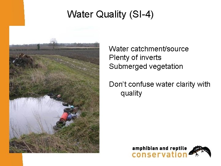 Water Quality (SI-4) Water catchment/source Plenty of inverts Submerged vegetation Don’t confuse water clarity