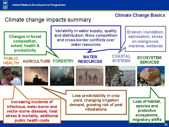 Climate change impacts summary Changes in forest composition, extent, health & productivity Climate Change