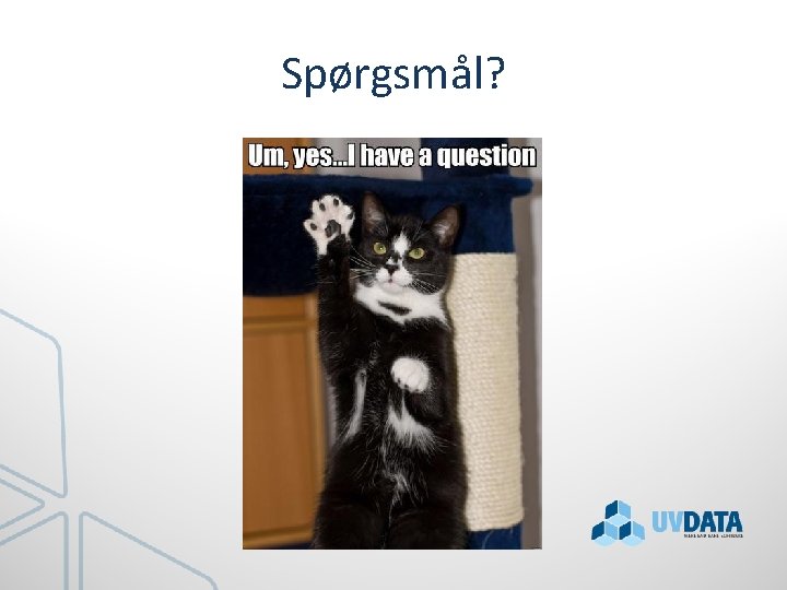 Spørgsmål? 
