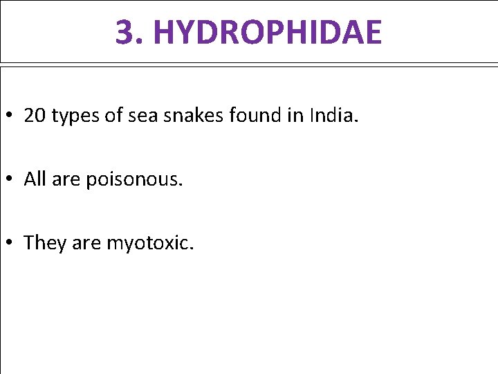 3. HYDROPHIDAE • 20 types of sea snakes found in India. • All are