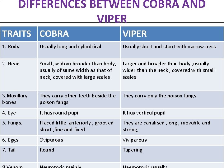 DIFFERENCES BETWEEN COBRA AND VIPER TRAITS COBRA VIPER 1. Body Usually long and cylindrical DIFFERENCES BETWEEN COBRA AND VIPER TRAITS COBRA VIPER 1. Body Usually long and cylindrical