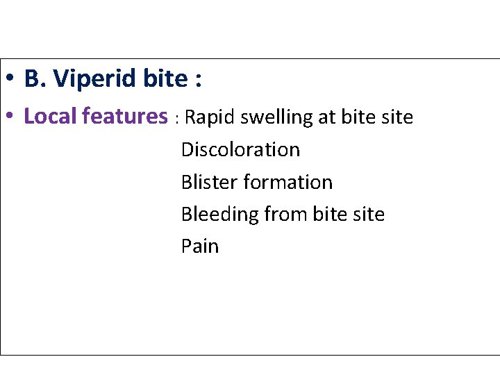 • B. Viperid bite : • Local features : Rapid swelling at bite • B. Viperid bite : • Local features : Rapid swelling at bite