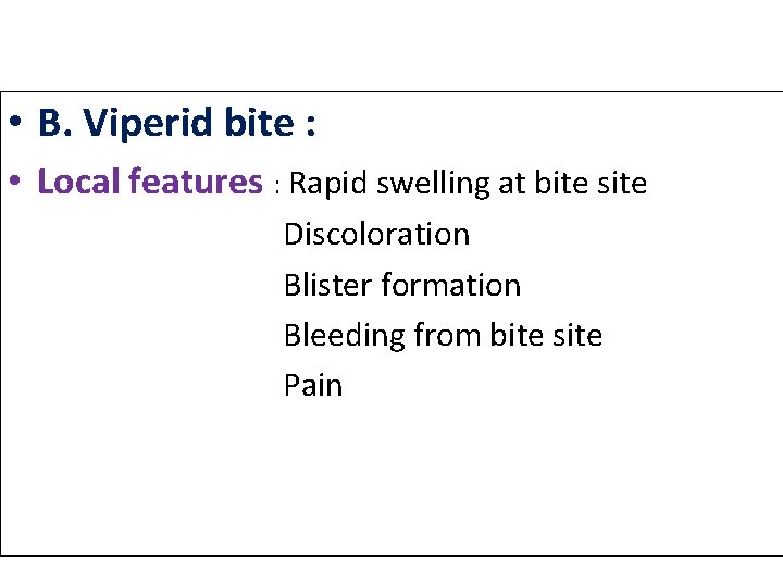  • B. Viperid bite : • Local features : Rapid swelling at bite