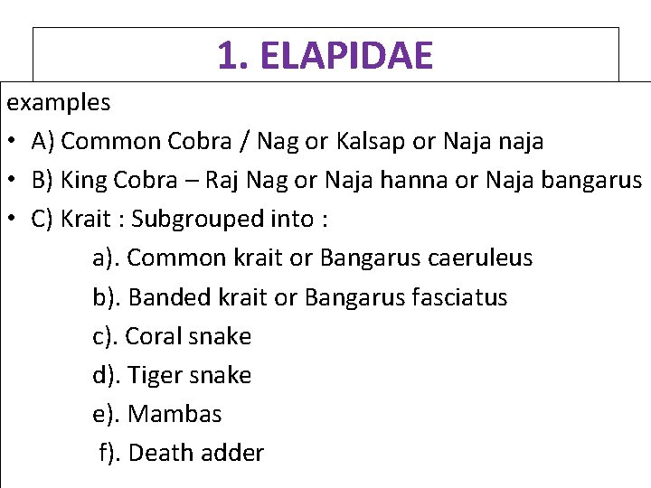 1. ELAPIDAE examples • A) Common Cobra / Nag or Kalsap or Naja naja 1. ELAPIDAE examples • A) Common Cobra / Nag or Kalsap or Naja naja