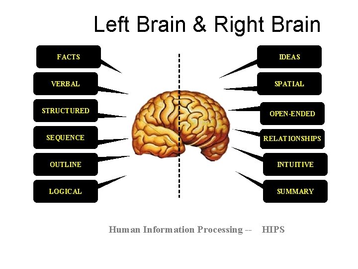 Left Brain & Right Brain FACTS IDEAS VERBAL SPATIAL STRUCTURED OPEN-ENDED SEQUENCE RELATIONSHIPS OUTLINE