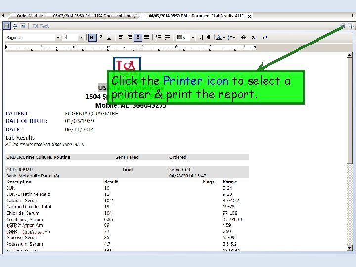 Click the Printer icon to select a printer & print the report. 