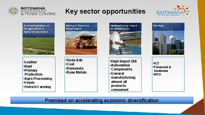 Key sector opportunities Commercialization of the agriculture & Agribusiness sector • Leather • Beef